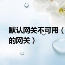 默认网关不可用（错误的网关）