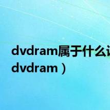 dvdram属于什么设备(dvdram)