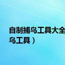 自制捕鸟工具大全（捕鸟工具）