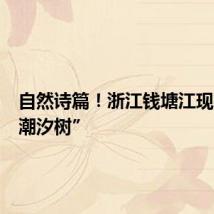 自然诗篇！浙江钱塘江现壮美“潮汐树”