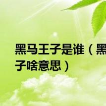 黑马王子是谁（黑马王子啥意思）