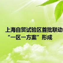 上海自贸试验区首批联动创新区“一区一方案”形成