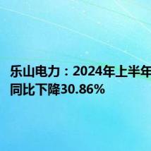 乐山电力:2024年上半年净利润同比下降30.86%