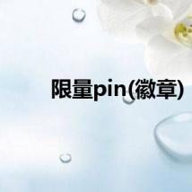 限量pin(徽章)
