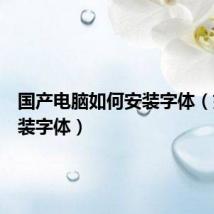 国产电脑如何安装字体(如何安装字体)