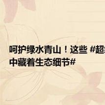 呵护绿水青山!这些 #超级工程中藏着生态细节#