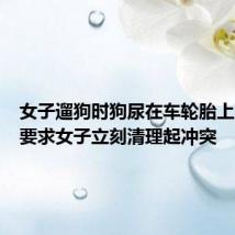 女子遛狗时狗尿在车轮胎上,车主要求女子立刻清理起冲突