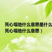 死心塌地什么意思是什么词性（死心塌地什么意思）