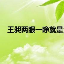 王昶两眼一睁就是演