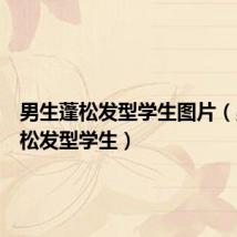 男生蓬松发型学生图片(男生蓬松发型学生)