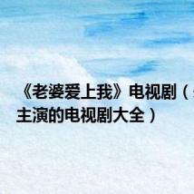 《老婆爱上我》电视剧(朱亚文主演的电视剧大全)
