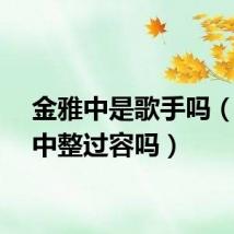 金雅中是歌手吗（金雅中整过容吗）