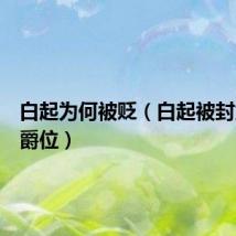 白起为何被贬（白起被封为什么爵位）