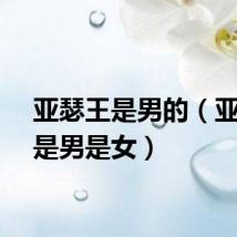 亚瑟王是男的（亚瑟王是男是女）