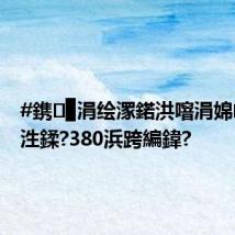 #鎸▉涓绘潈鍩洪噾涓婂崐骞寸泩鍒?380浜跨編鍏?