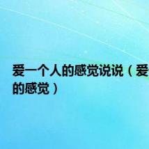 爱一个人的感觉说说（爱一个人的感觉）