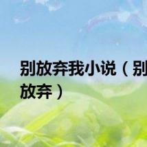 别放弃我小说（别要我放弃）