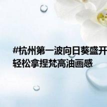 #杭州第一波向日葵盛开了# :轻松拿捏梵高油画感