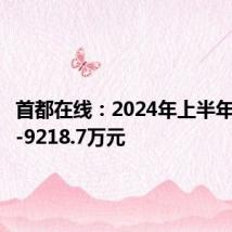 首都在线:2024年上半年净利润-9218.7万元