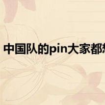 中国队的pin大家都想要