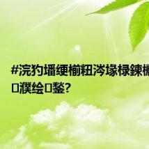 #浣犳墦绠椾粈涔堟椂鍊欐鍏ュ濮绘鍫?