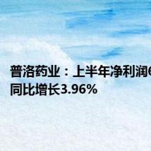 普洛药业:上半年净利润6.25亿 同比增长3.96%