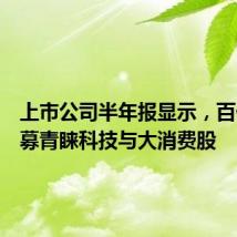上市公司半年报显示,百亿级私募青睐科技与大消费股