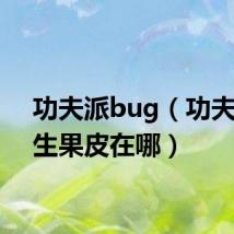 功夫派bug(功夫派长生果皮在哪)