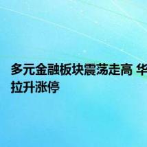 多元金融板块震荡走高 华金资本拉升涨停