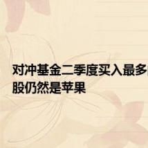 对冲基金二季度买入最多的科技股仍然是苹果