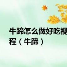 牛蹄怎么做好吃视频教程（牛蹄）