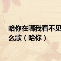 哈你在哪我看不见是什么歌（哈你）