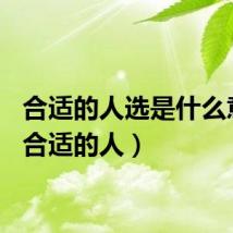 合适的人选是什么意思（合适的人）
