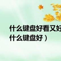 什么键盘好看又好用（什么键盘好）