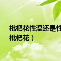 枇杷花性温还是性寒（枇杷花）