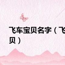 飞车宝贝名字（飞车宝贝）