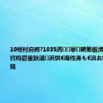 10骞村府鍔?1035涓搴疄鐜板洟鍦嗭紝鏉窞杩欎釜鈥滃浜烘€诲徃浠も€濆お鍊煎緱璧炰簡