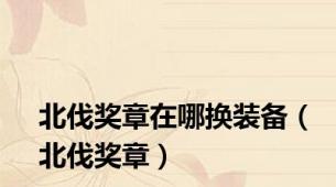 北伐奖章在哪换装备（北伐奖章）