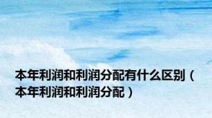 本年利润和利润分配有什么区别（本年利润和利润分配）