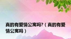 真的有爱情公寓吗?（真的有爱情公寓吗）