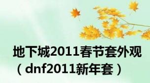 地下城2011春节套外观（dnf2011新年套）