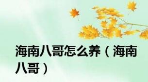 海南八哥怎么养（海南八哥）