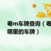 粤m车牌查询（粤m是哪里的车牌）