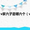 v家六子是哪六个（v家）
