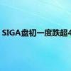SIGA盘初一度跌超40%
