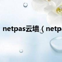 netpas云墙(netpas)
