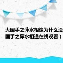 大国手之萍水相逢为什么没有(大国手之萍水相逢在线观看)