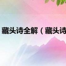 藏头诗全解（藏头诗吧）