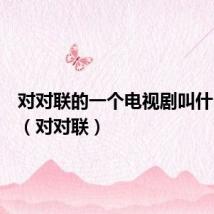 对对联的一个电视剧叫什么名字（对对联）