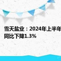 雪天盐业：2024年上半年净利润同比下降1.3%